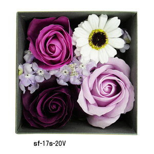 yz \[vt[ Ό̂ [YAW p[v@{bNX@o t[\[v MtgpbP[W ʔ