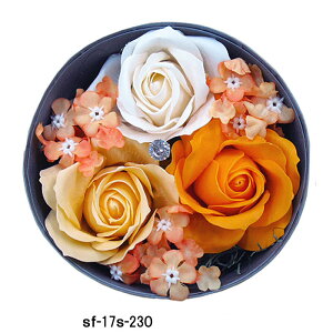 yz \[vt[ Ό̂ [YAW IW@T[N@o t[\[v ʔ