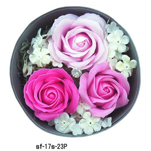 yz \[vt[ Ό̂ [YAW sN@T[N@o t[\[v ʔ