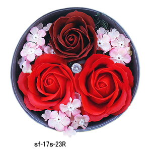 yz \[vt[ Ό̂ [YAW ԁ@T[N@o t[\[v ʔ