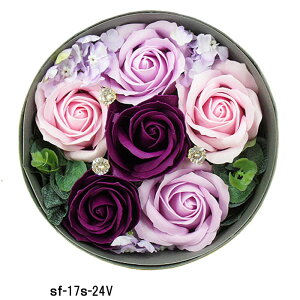 yz \[vt[ Ό̂ [YAW p[v@T[N@o t[\[v ʔ