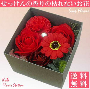 yz\[vt[ Ό̂ t[\[v Ԃo {bNXAW [Y ʔ