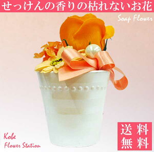 yz\[vt[ Ό̂ t[\[v o K[x IWAW [Y ʔ