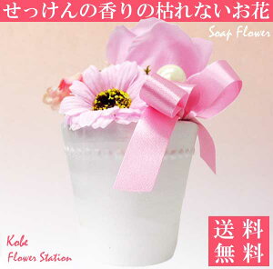 yz\[vt[ Ό̂ t[\[v o K[x 񂶃sNAW [Y ʔ