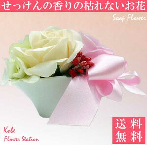 yz\[vt[ Ό̂ t[\[v  sN 2փAW [Y ʔ