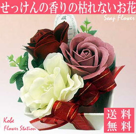 楽天市場 ソープフラワー 種類 植物 キキョウ 花 ガーデン Diy の通販 楽天市場 ソープフラワー 種類 植物 キキョウ 花 ガーデン Diy の通販