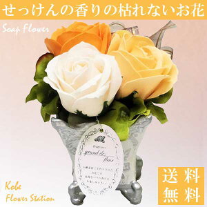 yz \[vt[ Ό̂ [YAW 3ւ̃IW̃o t[\[v MtgpbP[W ʔ