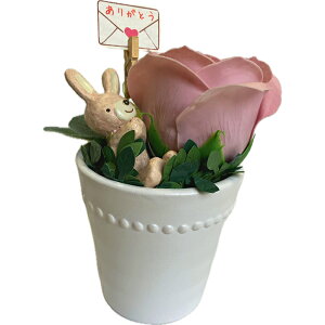 \[vt[ Ό̂ [YAW ETM t[\[v CeAG MtgG ʔ