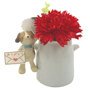 \[vt[ Ό̂ J[l[VAW Ԃ񃏃 t[\[v CeAG MtgG ʔ