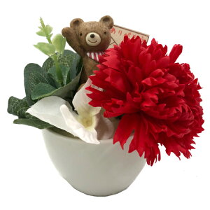 \[vt[ Ό̂ J[l[VAW N} t[\[v CeAG MtgG ʔ