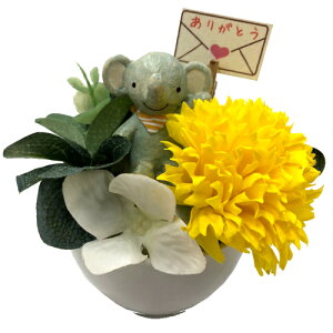 \[vt[ Ό̂ J[l[VAW ]E t[\[v CeAG MtgG ʔ