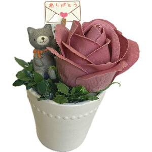 \[vt[ Ό̂ [YAW lRo t[\[v CeAG MtgG ʔ