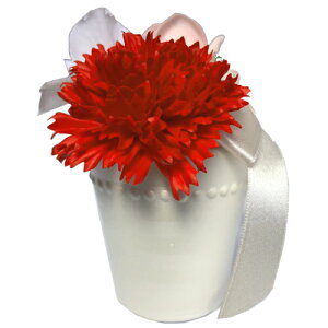 \[vt[ Ό̂ fI {AW J[l[VƃoisNjt[\[v CeAG MtgG ʔ