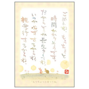 Vc|XgJ[h SN-011Ƃ yƑ҂ĂˁzGtyǐՉ\[։z