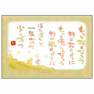 Vc|XgJ[h SN-040 Ƃ߁yꐶāzGtyǐՉ\[։z