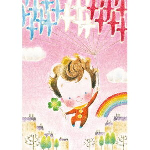 TC}TR |XgJ[h GtywzsMSP-06tyǐՉ\[։z