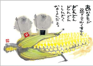 ؗH |XgJ[h GtsYM-P46tyȂコigERVjz nyǐՉ\[։z