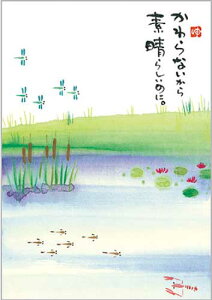 ؗH |XgJ[h GtsYM-P51tyȂz yǐՉ\[։z