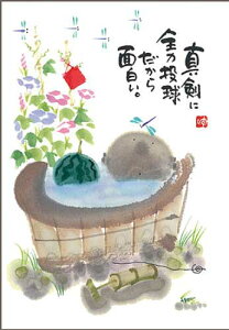 ؗH |XgJ[h GtsYM-R16ty^Ɂz n@XCJ yǐՉ\[։z