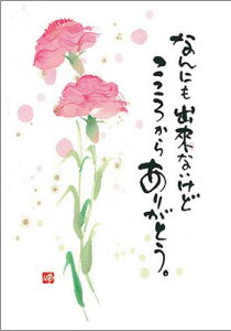 ؗH |XgJ[h GtsYM-R64tyȂɂoȂǁiJ[l[Vjz yǐՉ\[։z