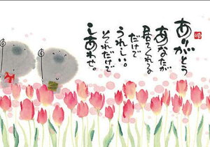 ؗH |XgJ[h GtsYM-R66ty肪Ƃz nyǐՉ\[։z