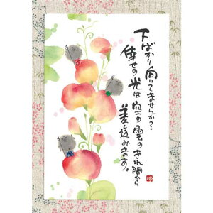 ؗH |XgJ[h GtsYM-U01ty΂Ă܂񂩁zƁ@n yǐՉ\[։z