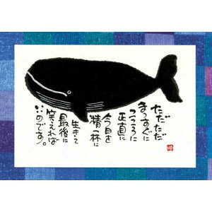 ؗH |XgJ[h GtsYM-W88ty܂ɁzƁ@NW yǐՉ\[։z