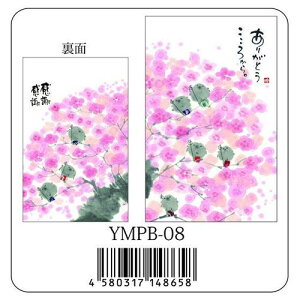  ؗH |`܁s肪Ƃ납/YMPB-08tʔ̒ǐՉ\[։z