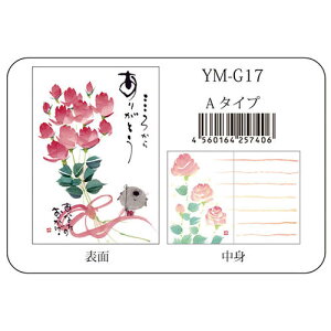 ؗH bZ[WJ[hsYM-G17ty肪Ƃ@납z yǐՉ\[։z