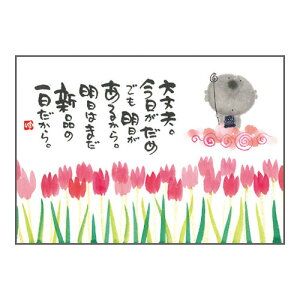 ؗH |XgJ[h GtsYM-R17tyvz n yǐՉ\[։z