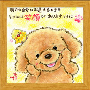 G`T[s20pz/~jA[gtt[t~j|X^[y̎/v[hEz(bZ[WA[g/G/CeAG/)ʔ