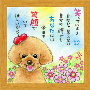 G`T[s20pz/~jA[gtt[t~j|X^[y΂Ă悤/v[hz(bZ[WA[g/G/CeAG/)ʔ