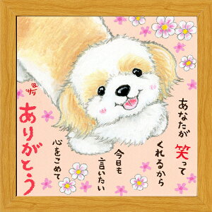 G`T[s20pz/~jA[gtt[t~j|X^[yȂ΂Ă邩/V[Y[z(bZ[WA[g/CeAG)ʔ