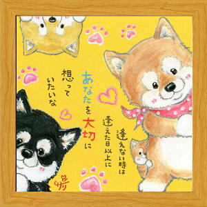 G`T[s20pz/~jA[gtt[t~j|X^[yȂ/Čz(bZ[WA[g/CeAG)ʔ