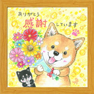 G`T[s20pz/~jA[gtt[t~j|X^[y肪Ƃ/Čz(bZ[WA[g/CeAG)ʔ