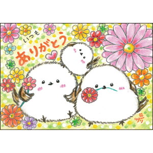 G`T[ |XgJ[hsSSA-90ty肪Ƃ/V}GiK/z GtyǐՉ\[։z