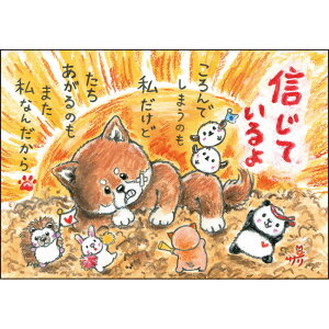 G`T[ |XgJ[hsSSA-94tyMĂ/Č/z GtyǐՉ\[։z