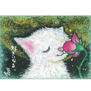 G`T[ |XgJ[hsSSA-04tyDɂȂ/LzGtyǐՉ\[։z