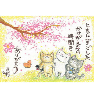 G`T[ |XgJ[hsSSA-30tyƂɂ/L/zGtyǐՉ\[։z