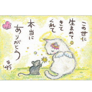 G`T[ |XgJ[hsSSA-31ty̐/L/lY~zGtyǐՉ\[։z