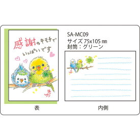 絵描きサリー メッセージカード【感謝のキモチでいっぱいです/インコ（鳥）】《SAMC-09》【ネコポス可】