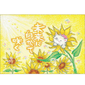 G`T[ |XgJ[hsSSA-13tyɌ/Lz GtyǐՉ\[։z