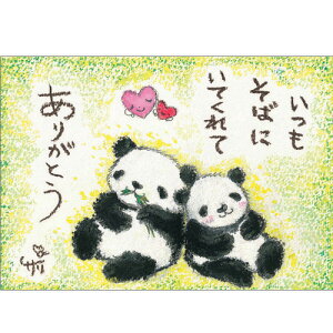 G`T[ |XgJ[h sSSA-23ty΂ɂĂ/p_zGtyǐՉ\[։z