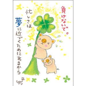 G`T[ |XgJ[h sSSA-48tyȂ/u^/N[o[zGtyǐՉ\[։z