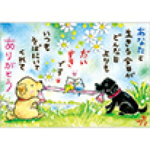 G`T[ |XgJ[h sSSA-58tyȂƐ/uhgo[zGtyǐՉ\[։z