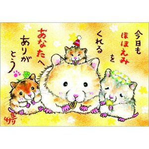 G`T[ |XgJ[hsSSA-59ty/nX^[z GtyǐՉ\[։z