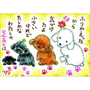 G`T[ |XgJ[hsSSA-60tyӂ肩/v[hz GtyǐՉ\[։z