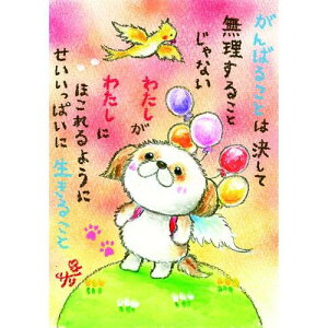 G`T[ |XgJ[h sSSA-70ty΂/V[Y[zGtyǐՉ\[։z