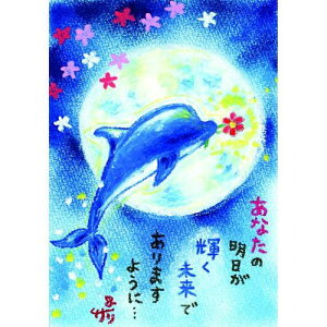 G`T[ |XgJ[h sSSA-72tyȂ̖/CJzGtyǐՉ\[։z