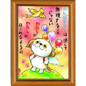 G`T[s|XgJ[hz/~jA[gtt[t~j|X^[y΂/V[Y[z(bZ[WA[g/G/CeAG)ʔ